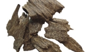 Agarwood