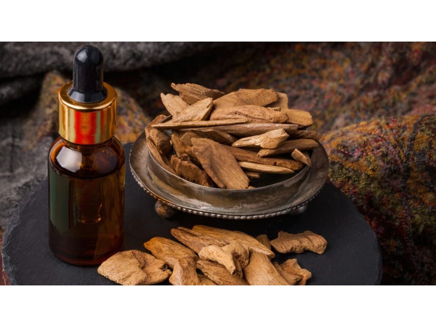 Agarwood Essential Oil Benefits and Uses (Oud Oil) - EO Spotlight